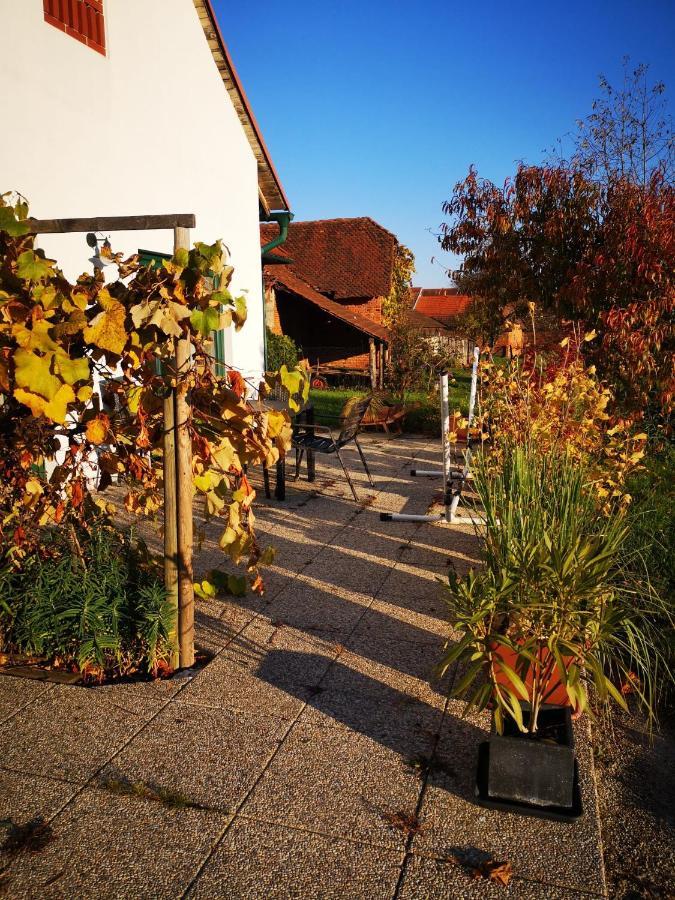 Ferienwohnungen Und Appartements Im Idyllischen Vierkanthof, Gruppenurlaube Fürstenfeld Exterior foto